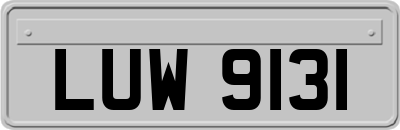 LUW9131