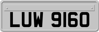 LUW9160