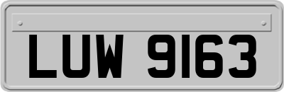 LUW9163