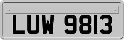 LUW9813