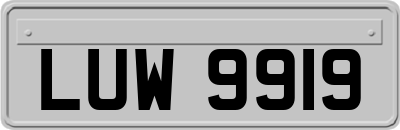 LUW9919