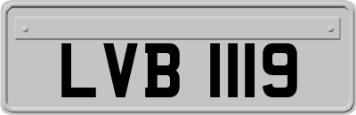 LVB1119