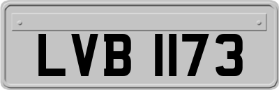 LVB1173