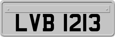 LVB1213
