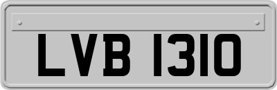 LVB1310