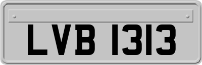 LVB1313