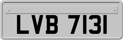LVB7131