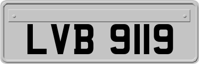 LVB9119