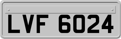 LVF6024