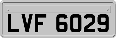 LVF6029