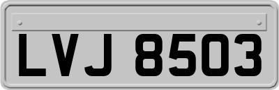 LVJ8503