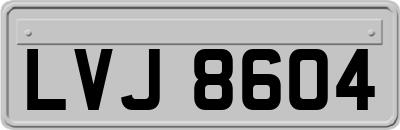 LVJ8604