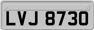 LVJ8730