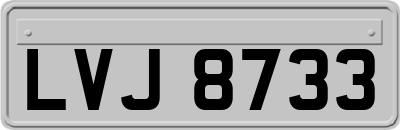 LVJ8733
