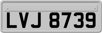 LVJ8739