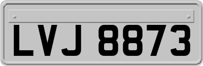 LVJ8873