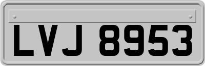 LVJ8953