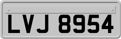 LVJ8954