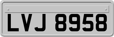 LVJ8958