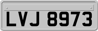 LVJ8973