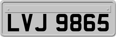 LVJ9865