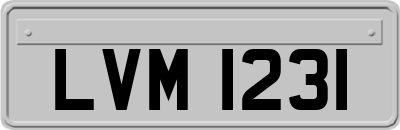 LVM1231