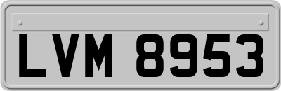 LVM8953