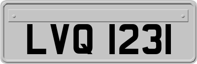 LVQ1231