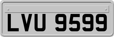 LVU9599