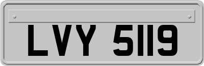 LVY5119