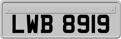 LWB8919