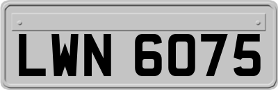 LWN6075