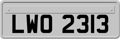 LWO2313