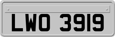 LWO3919