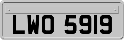LWO5919
