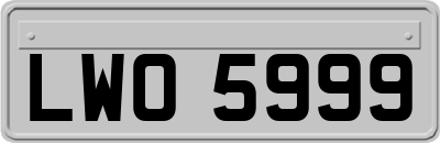 LWO5999