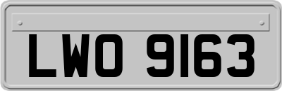 LWO9163