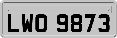 LWO9873