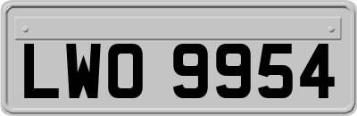 LWO9954