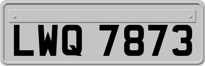 LWQ7873