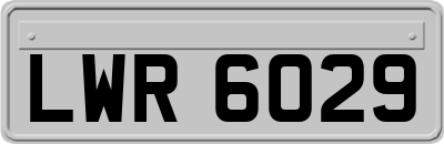 LWR6029