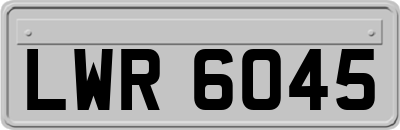 LWR6045