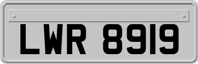 LWR8919