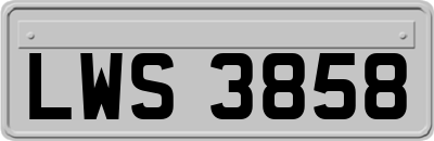 LWS3858