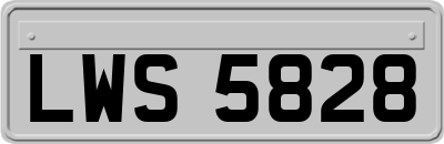 LWS5828