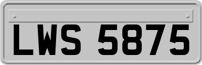 LWS5875