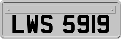 LWS5919