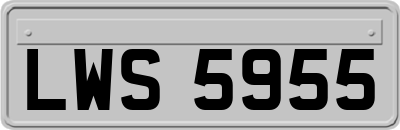 LWS5955