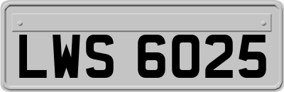 LWS6025