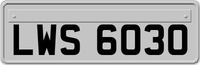 LWS6030